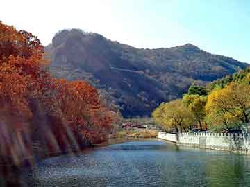 天天彩好彩天天免费，野兔价格